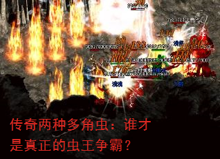 传奇两种多角虫:谁才是真正的虫王争霸? 传奇两种多角虫:谁才是真正的虫王争霸?