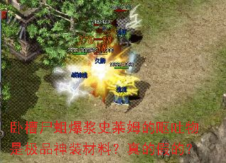 ԲʬʷķŻǼƷװϣļٵģ
