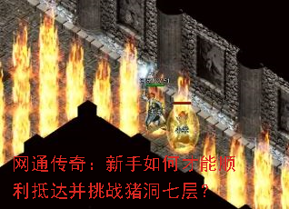 ͨ棺β˳ִﲢս߲㣿