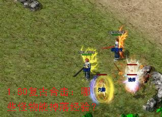 1.80źϻЩܵ侭飿