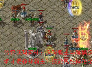 ɭ֣밵˭ɭְԵȫ