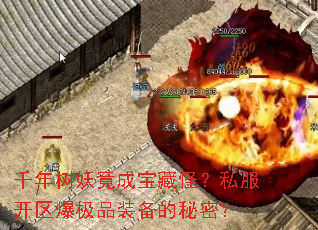ǧɱع֣˽Ʒװܣ