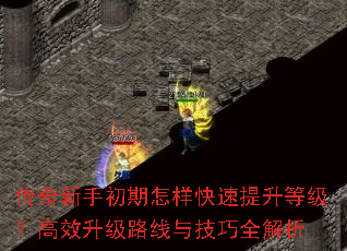 ֳȼЧ·뼼ȫ