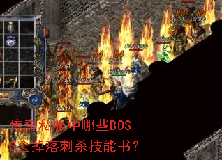 ˽ЩBOSSɱ飿