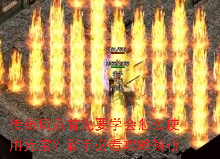 ҪѧôʹԪֱؿԽ