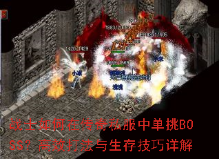 սʿڴ˽еBOSSЧ漼