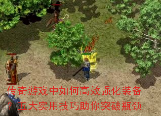 ϷθЧǿװʵüͻƿ