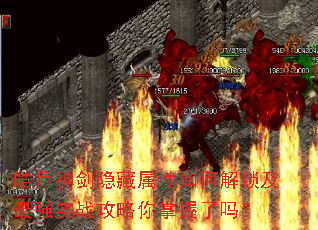 νǿʵս