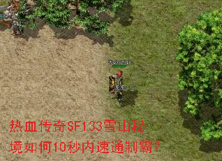 热血传奇SF133雪山秘境如何10秒内速通制霸? 热血传奇SF133雪山秘境如何10秒内速通制霸?