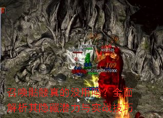 ٻûȫǱʵս