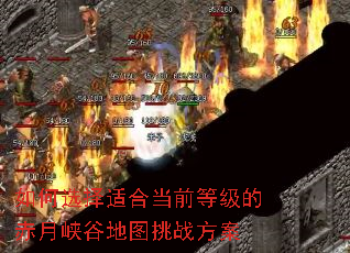 ѡʺϵǰȼĳϿȵͼս