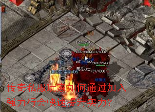 ˽ͨǿлʵ