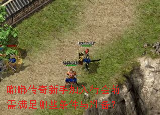 嘟嘟传奇新手加入行会前需满足哪些条件与准备? 嘟嘟传奇新手加入行会前需满足哪些条件与准备?