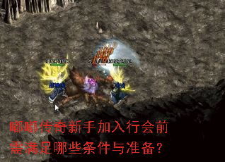 嘟嘟传奇新手加入行会前需满足哪些条件与准备? 嘟嘟传奇新手加入行会前需满足哪些条件与准备?