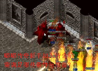 嘟嘟传奇新手加入行会前需满足哪些条件与准备? 嘟嘟传奇新手加入行会前需满足哪些条件与准备?