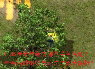 1.85传奇帮会有哪些特色活动?帮会活动组织与玩法攻略全解析? 1.85传奇帮会有哪些特色活动?帮会活动组织与玩法攻略全解析?