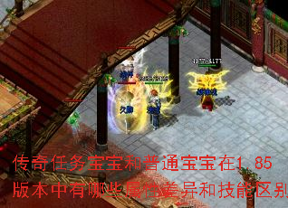 传奇任务宝宝和普通宝宝在1.85版本中有哪些属性差异和技能区别? 传奇任务宝宝和普通宝宝在1.85版本中有哪些属性差异和技能区别?