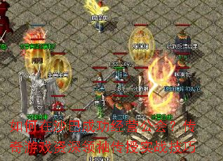 ɳͳɹӪ᣿Ϸ䴫ʵս