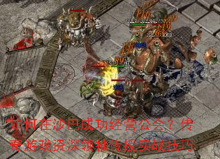 ɳͳɹӪ᣿Ϸ䴫ʵս