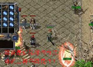 细说最新私服传奇法师的三种不同属性? 细说最新私服传奇法师的三种不同属性?
