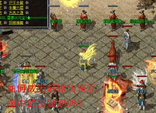 如何成为轩辕传奇私服中的顶级奶妈? 如何成为轩辕传奇私服中的顶级奶妈?