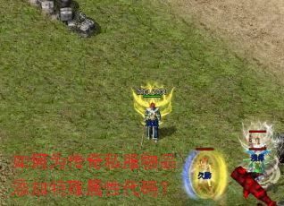 如何为传奇私服物品添加特殊属性代码? 如何为传奇私服物品添加特殊属性代码?
