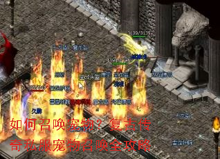 如何召唤宠物?复古传奇私服宠物召唤全攻略 如何召唤宠物?复古传奇私服宠物召唤全攻略