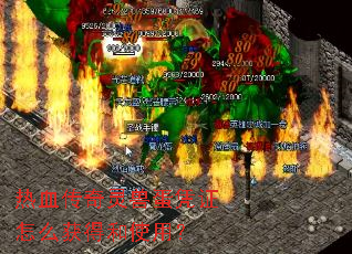 ��Ѫ�������޵�ƾ֤��ô��ú�ʹ�ã�