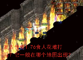 复古传奇1.76食人花难打吗?它一般在哪个地图出现? 复古传奇1.76食人花难打吗?它一般在哪个地图出现?