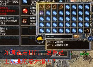 如何在白日门中发挥道士职业的最大潜力? 如何在白日门中发挥道士职业的最大潜力?