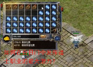 如何在白日门中发挥道士职业的最大潜力? 如何在白日门中发挥道士职业的最大潜力?