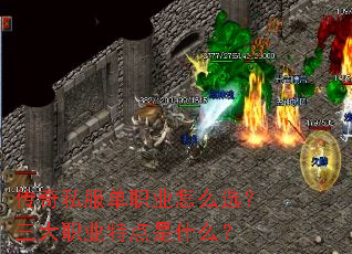 ˽ְҵôѡְҵصʲô