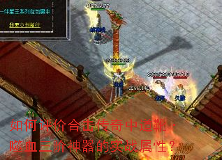 ������ۺϻ������е�ѥ����Ѫ����������ʵս���ԣ�