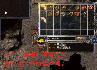 ��Ѫ���������ͨ��������������Ѫ��������