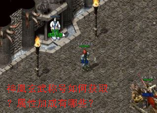 �������ƺ���λ�ȡ�����Լӳ�����Щ��