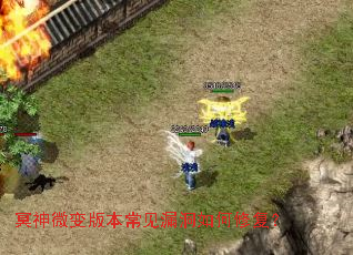 ڤ��΢��汾����©������޸���