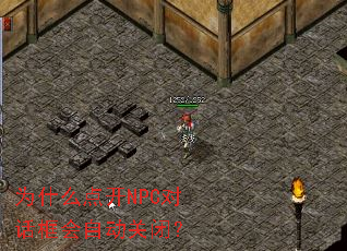 Ϊʲô㿪NPCԻԶرգ