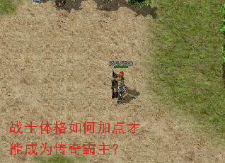 战士体格如何加点才能成为传奇霸主? 战士体格如何加点才能成为传奇霸主?