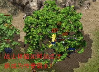 战士体格如何加点才能成为传奇霸主? 战士体格如何加点才能成为传奇霸主?