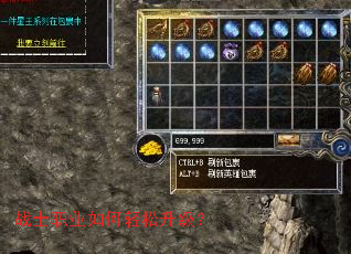 战士职业如何轻松升级? 战士职业如何轻松升级?