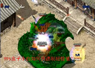 996盒子小白如何快速刷经验值? 996盒子小白如何快速刷经验值?