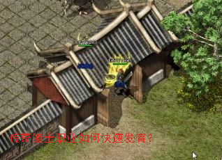 传奇道士职业如何快速发育? 传奇道士职业如何快速发育?