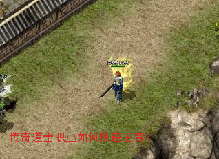 传奇道士职业如何快速发育? 传奇道士职业如何快速发育?