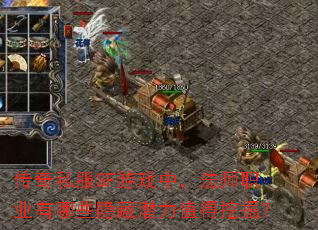 传奇私服SF游戏中,法师职业有哪些隐藏潜力值得挖掘? 传奇私服SF游戏中,法师职业有哪些隐藏潜力值得挖掘?