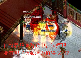 传奇私服SF游戏中,法师职业有哪些隐藏潜力值得挖掘? 传奇私服SF游戏中,法师职业有哪些隐藏潜力值得挖掘?