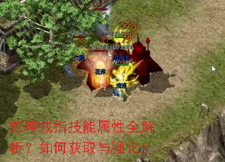 乾坤戒指技能属性全解析?如何获取与强化? 乾坤戒指技能属性全解析?如何获取与强化?