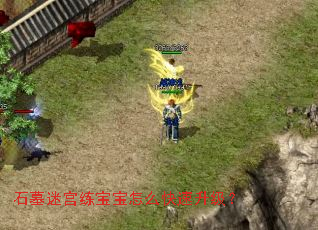 石墓迷宫练宝宝怎么快速升级? 石墓迷宫练宝宝怎么快速升级?