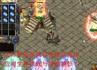 ��ʦְҵ����ڴ���˽����Ӧ��������ս�뼼��ƿ����