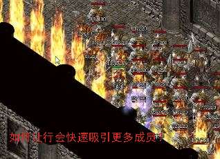 ������л�������������Ա��