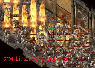 ������л�������������Ա��